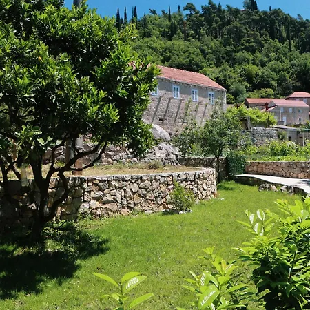 Family Friendly House With A Parking Space Popovici, Dubrovnik - 25452